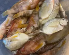 Step <p>Añadimos el pescado limpio de vísceras y escamas . </p><p>También pondremos las cabezas y las cáscaras de las gambas (solo dejaremos 8 gambas enteras ) Sofreímos 3 minutos , 120° velocidad 1</p> illustration