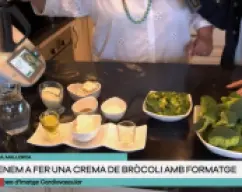 Step <p><span style="font-weight: 400;">Ponemos en el vaso el ajo , la cebolla y el aceite .</span> Troceamos 5 segundos a velocidad 5 , y sofreímos 3 minutos , 120ºC, velocidad 1</p> illustration