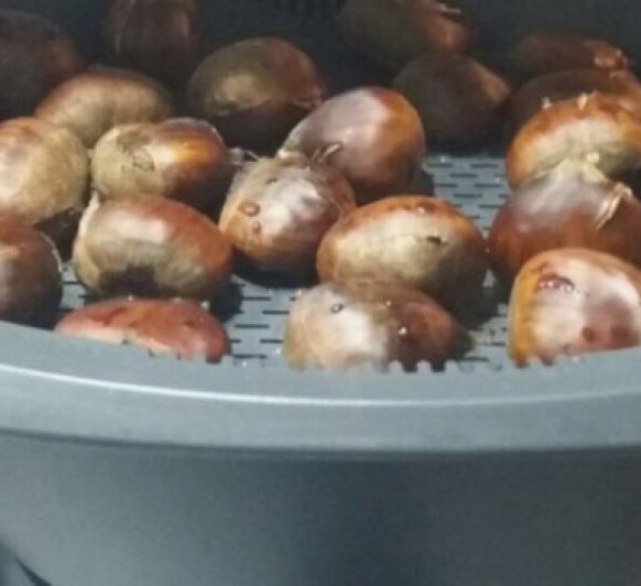 Alimento de otoño. Castañas al Varoma Thermomix®